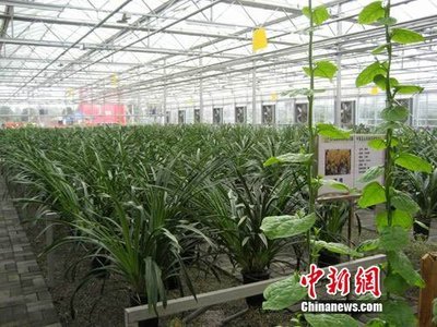 中國西南最大農(nóng)產(chǎn)品交易所在北川投入運營_財經(jīng)_騰訊網(wǎng)