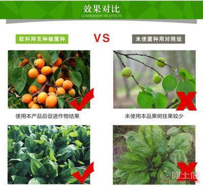 【種植EM菌種價格種植EM菌批發(fā)種植EM菌廠家