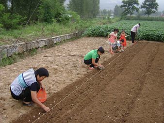 大蒜種植益富源種植專用營養(yǎng)液發(fā)酵菌液什么價格_農(nóng)副產(chǎn)品欄目_