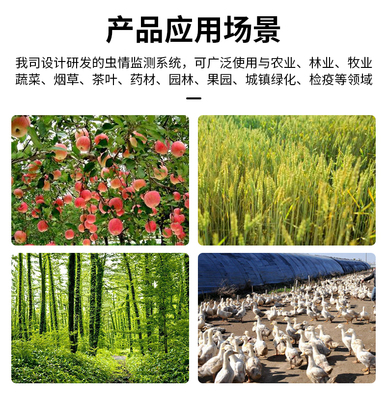 智能殺蟲燈的應(yīng)用領(lǐng)域