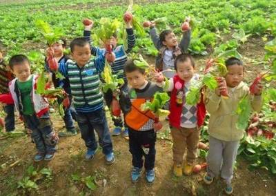 國家啟動家庭農場:這2個角度6種類型,農場:種植、社區、親子為一體,年入園人次10萬+!你如何做好農場運營?