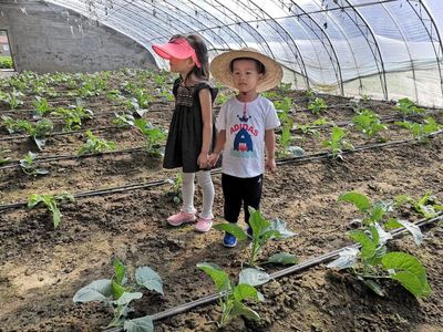 校友企業(yè)發(fā)展交流|參訪美田陽光農場