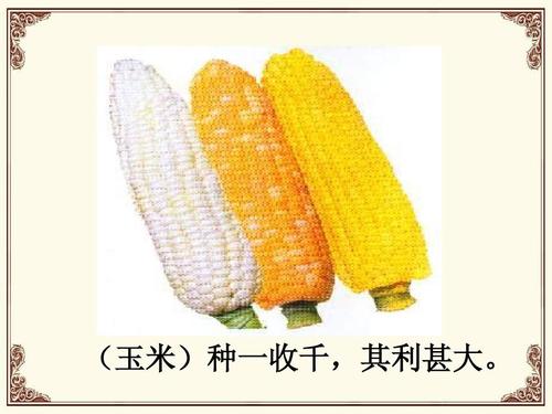 高考熱點 明清時期的經(jīng)濟