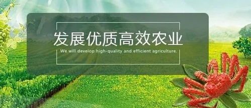 生物農(nóng)藥 氨基寡糖素的市場前景廣闊