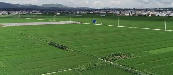 這65萬畝的耕地,在涿州現(xiàn)狀究竟如何?