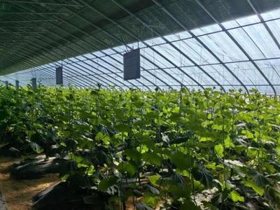 金谷集團:5G技術為農業種植裝上“智慧大腦”