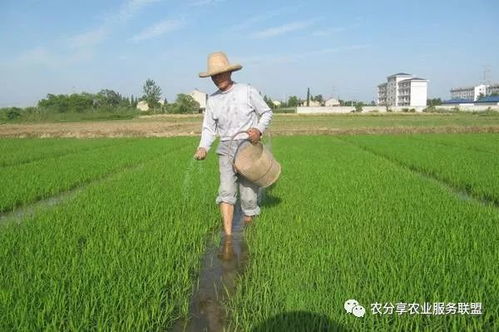 總怕肥不夠 其實(shí) 肥害 更要命 最全的肥害知識(shí)都在這里