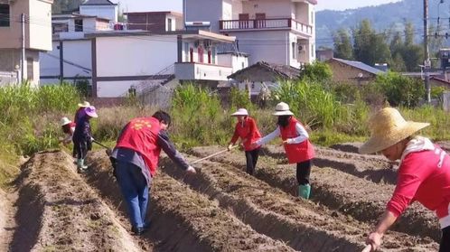 全國文明聯盟廣東站 嶺南文明網