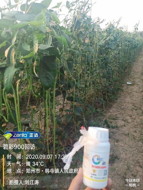 為什么你種植的作物產(chǎn)量要比別人低,你可能少了這個(gè)