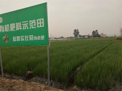 四川聚合奕達(dá)有機(jī)肥助你實(shí)現(xiàn)農(nóng)業(yè)創(chuàng)收,迎來(lái)豐收季!